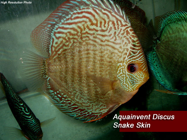 ��������� ������